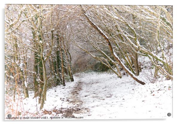 Snowy Woodland Path Acrylic by Heidi Stewart