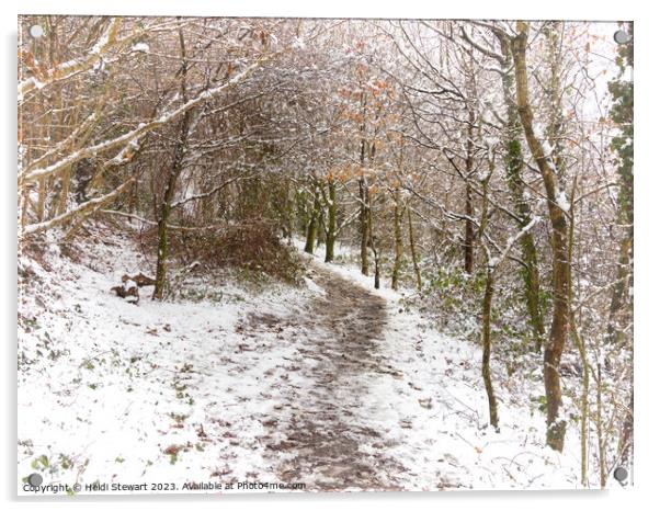 A Winter's Walk Acrylic by Heidi Stewart