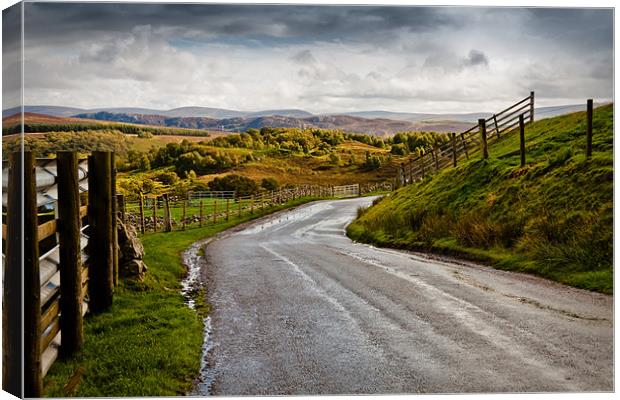 road to the Highlands Canvas Print by Dorit Fuhg