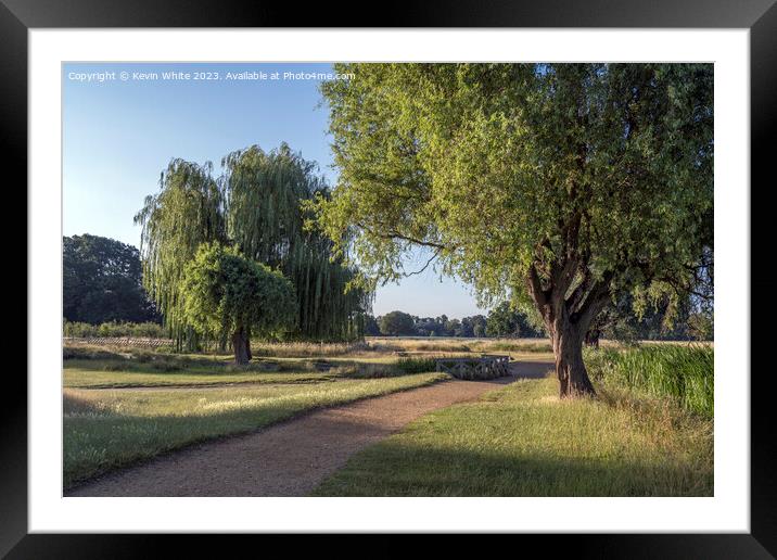 Summer walk around Bushy Park ponds Framed Mounted Print by Kevin White