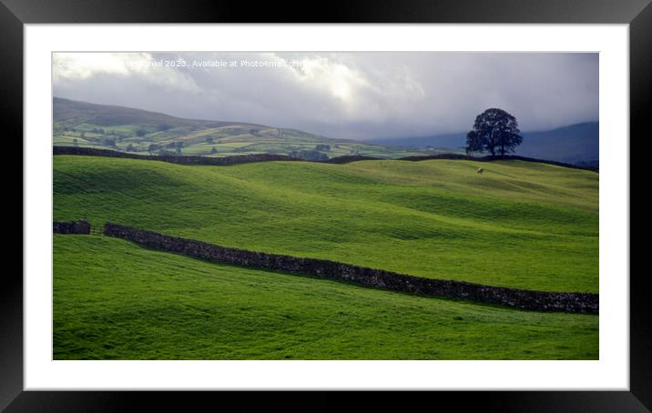 A Yorkshire Scene Framed Mounted Print by Derek Daniel