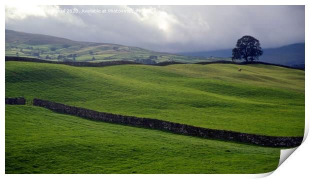 A Yorkshire Scene Print by Derek Daniel