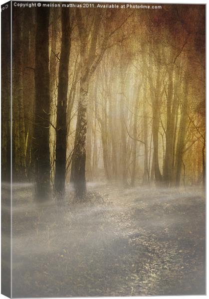 spooky misty woodland Canvas Print by meirion matthias