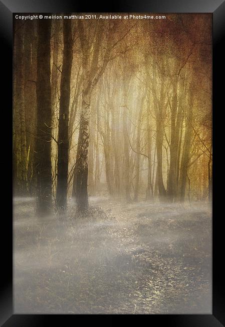 spooky misty woodland Framed Print by meirion matthias