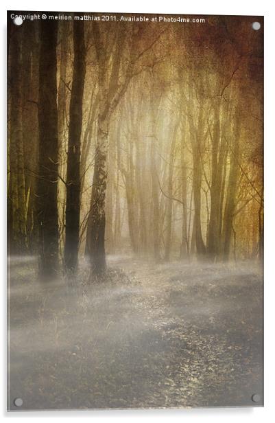 spooky misty woodland Acrylic by meirion matthias