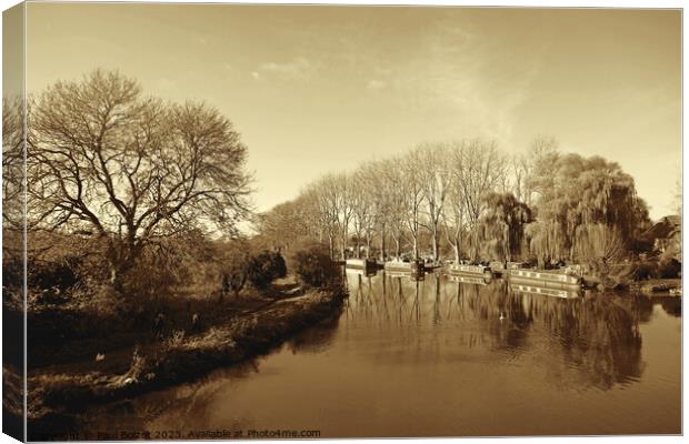 River Thames at Lechlade, sepia Canvas Print by Paul Boizot