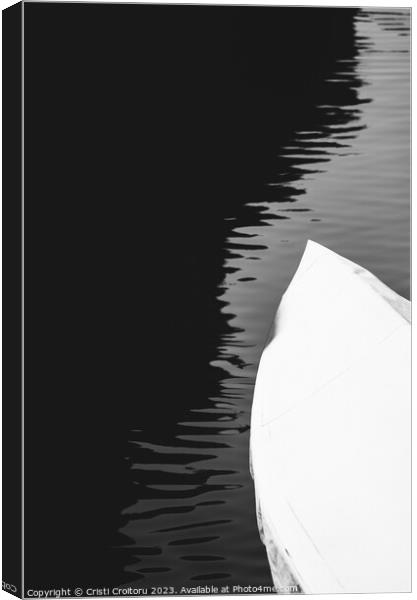 Black and white. Canvas Print by Cristi Croitoru