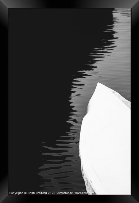Black and white. Framed Print by Cristi Croitoru