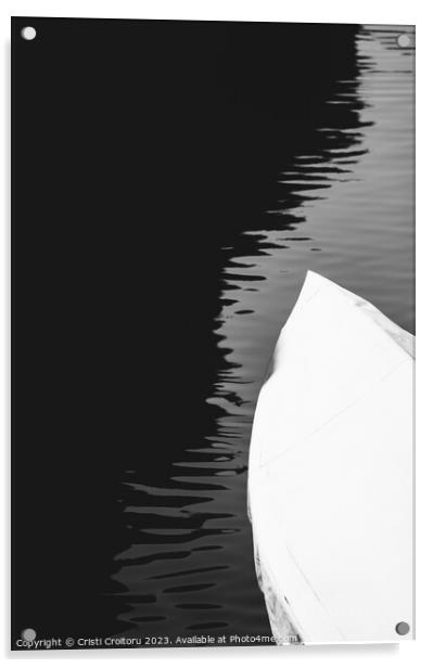 Black and white. Acrylic by Cristi Croitoru