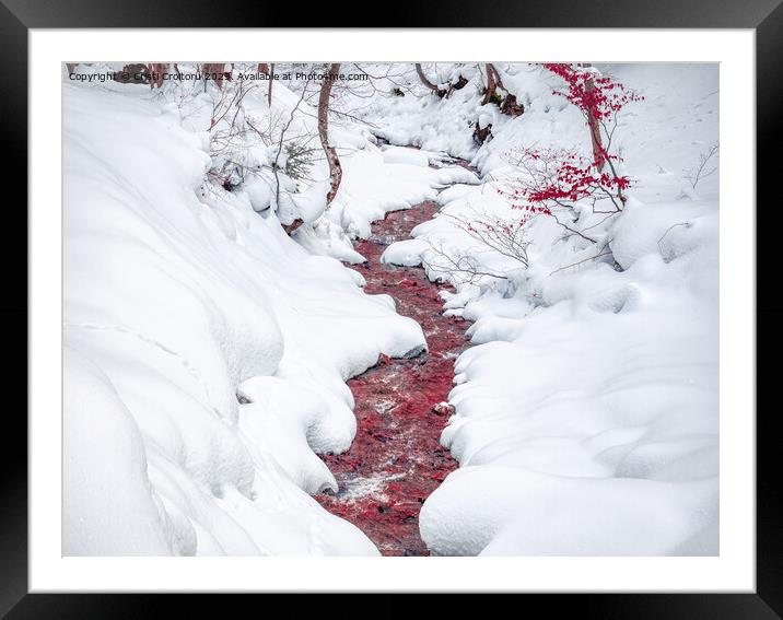 Blood red stream. Framed Mounted Print by Cristi Croitoru