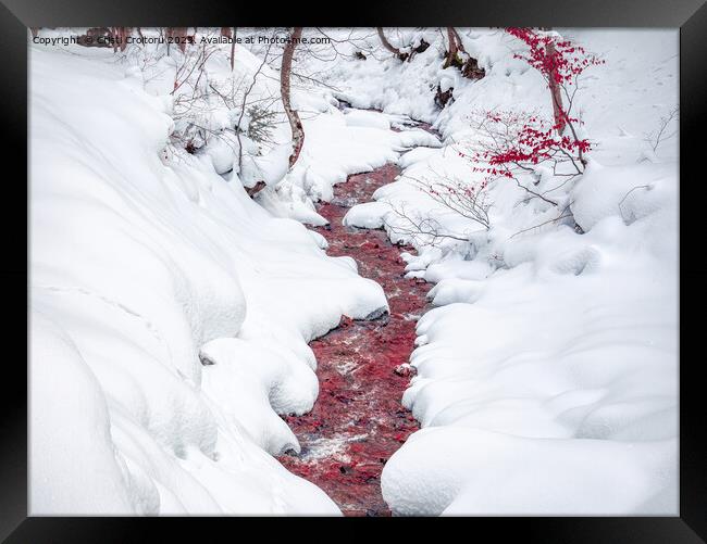 Blood red stream. Framed Print by Cristi Croitoru