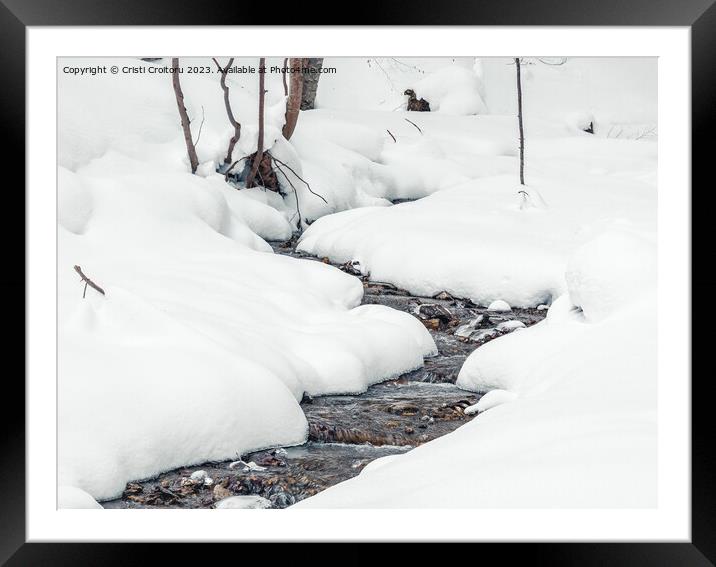 Winter forest stream. Framed Mounted Print by Cristi Croitoru