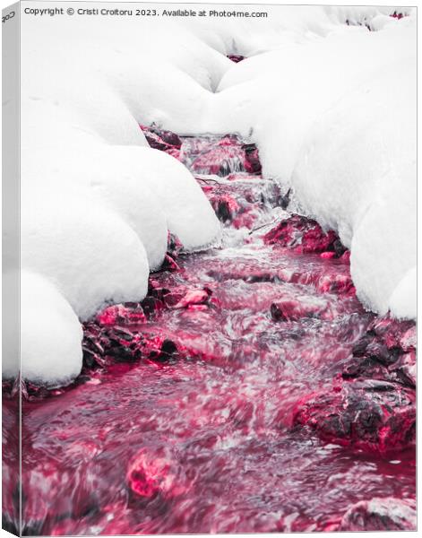 Winter forest red stream. Canvas Print by Cristi Croitoru