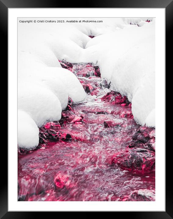 Winter forest red stream. Framed Mounted Print by Cristi Croitoru