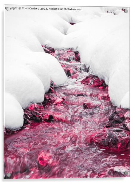 Winter forest red stream. Acrylic by Cristi Croitoru