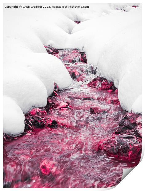 Winter forest red stream. Print by Cristi Croitoru