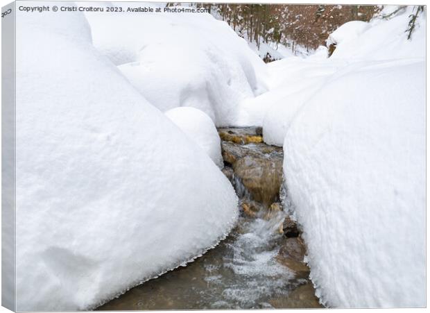 Winter forest stream. Canvas Print by Cristi Croitoru