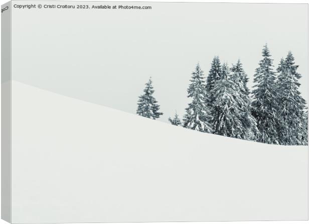 Winter landscape. Canvas Print by Cristi Croitoru