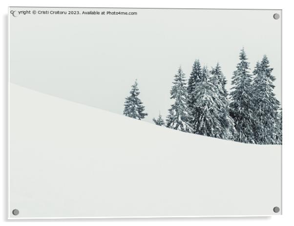 Winter landscape. Acrylic by Cristi Croitoru
