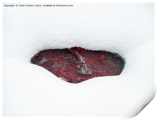 Beneath the  snow Print by Cristi Croitoru
