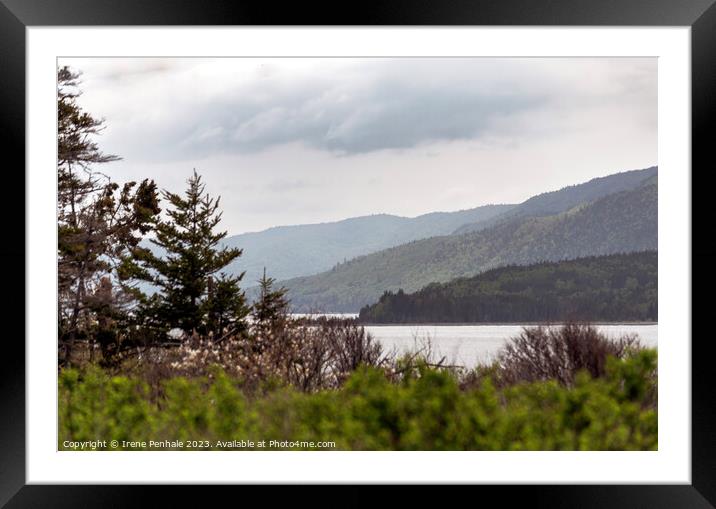 Misty Morning Cabot Trail  Framed Mounted Print by Irene Penhale