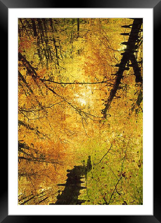 Autumn Colours Abstract III Framed Mounted Print by Natalie Kinnear