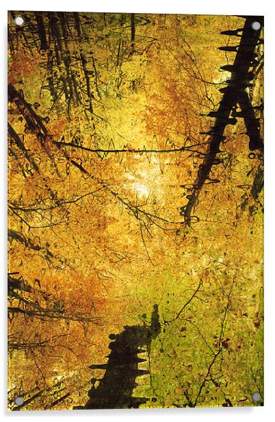Autumn Colours Abstract III Acrylic by Natalie Kinnear