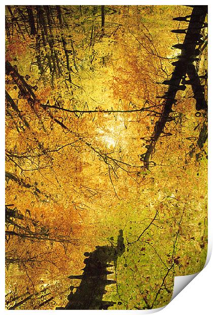 Autumn Colours Abstract III Print by Natalie Kinnear