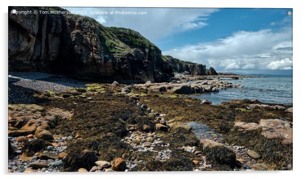 "Ethereal Beauty: A Captivating Moray Firth Seasca Acrylic by Tom McPherson