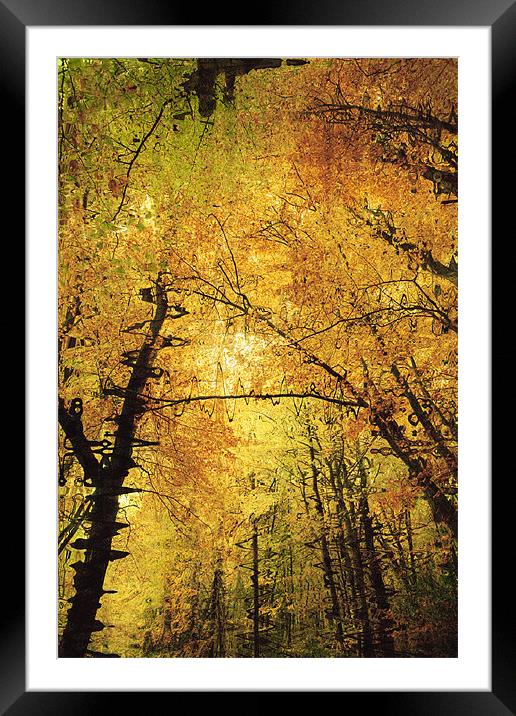 Autumn Colours Abstract II Framed Mounted Print by Natalie Kinnear