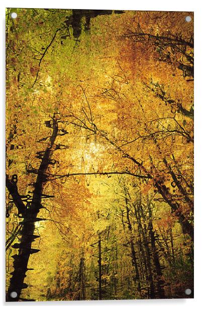 Autumn Colours Abstract II Acrylic by Natalie Kinnear