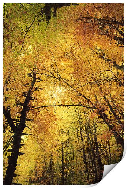 Autumn Colours Abstract II Print by Natalie Kinnear