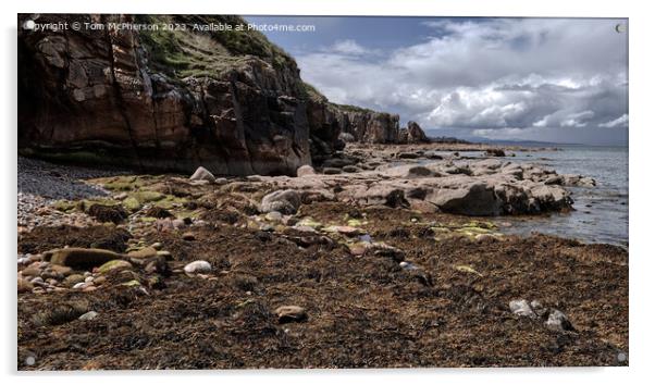 Serene Cummingston: A Breathtaking Moray Firth Sea Acrylic by Tom McPherson