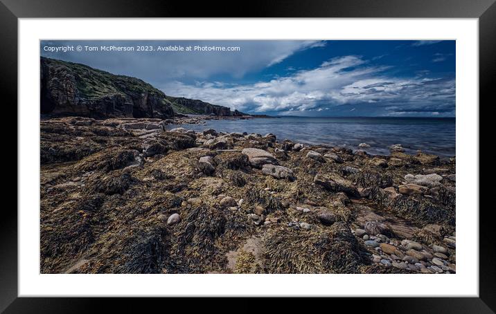 Serene Moray Coastal Beauty Framed Mounted Print by Tom McPherson