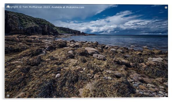 Serene Moray Coastal Beauty Acrylic by Tom McPherson