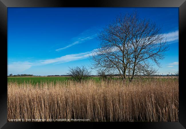 Enchanting Duffus Castle Grounds: A Timeless Scott Framed Print by Tom McPherson