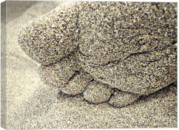 sand between the toes Canvas Print by Heather Newton
