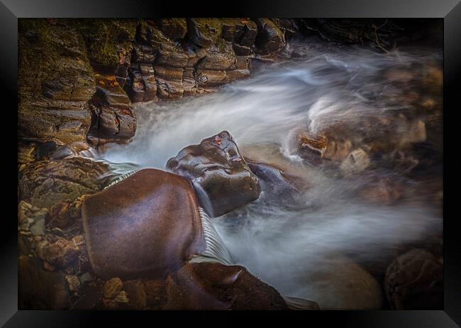 Smooth rocks and running water Framed Print by Leighton Collins