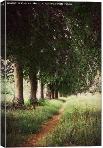 The Tree Lined Path Canvas Print by Christine Lake