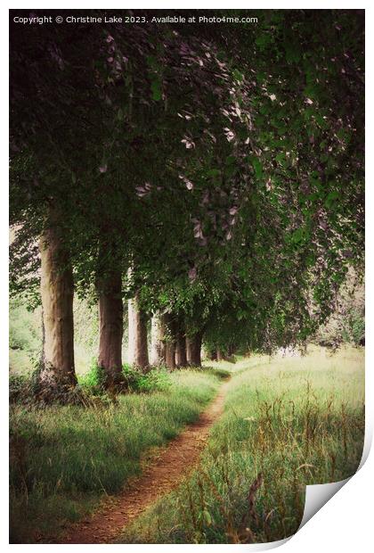 The Tree Lined Path Print by Christine Lake