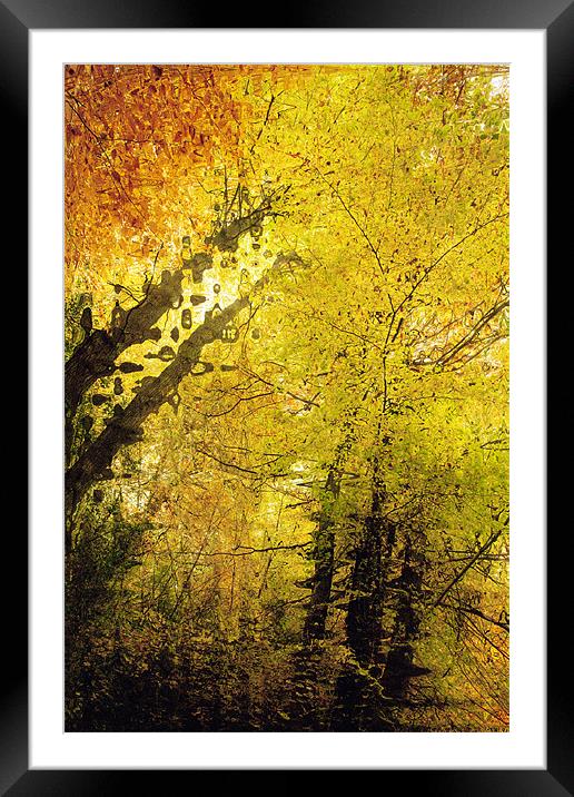 Autumn Colours Abstract I Framed Mounted Print by Natalie Kinnear