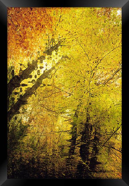 Autumn Colours Abstract I Framed Print by Natalie Kinnear