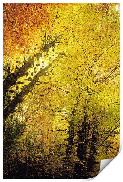Autumn Colours Abstract I Print by Natalie Kinnear