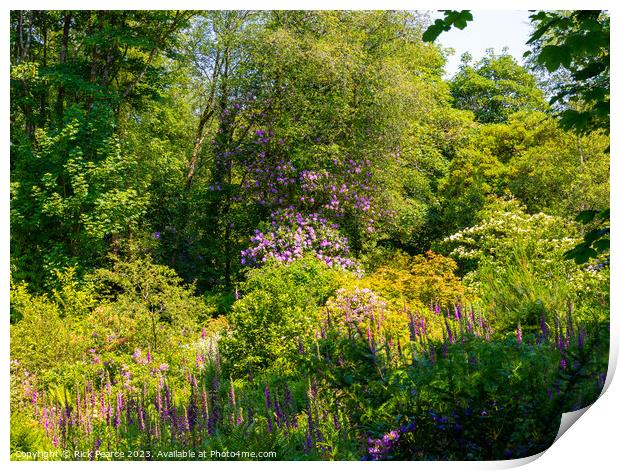 Enchanting Blossoms in Penllergaer Woods Print by Rick Pearce