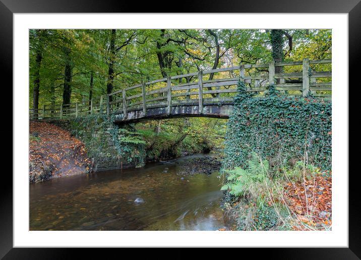 Stream flowing into the River Wharfe Framed Mounted Print by Jason Wells