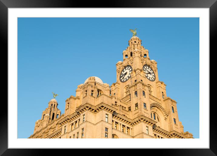 Liver birds dominating the Liverpool skyline Framed Mounted Print by Jason Wells