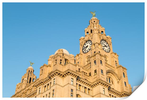 Liver birds dominating the Liverpool skyline Print by Jason Wells