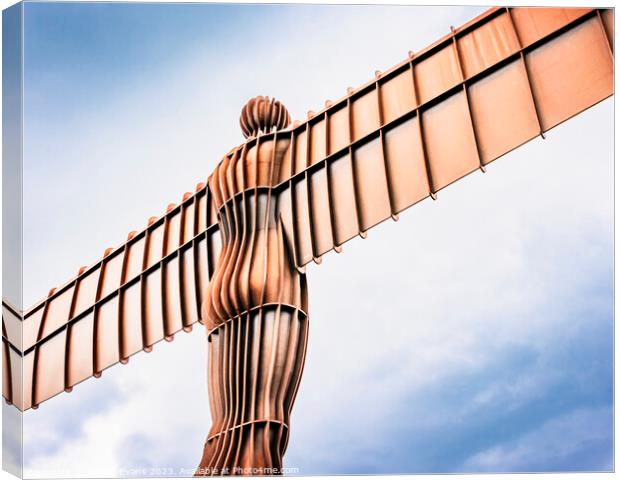 The Angel of the North  Canvas Print by Darrell Evans