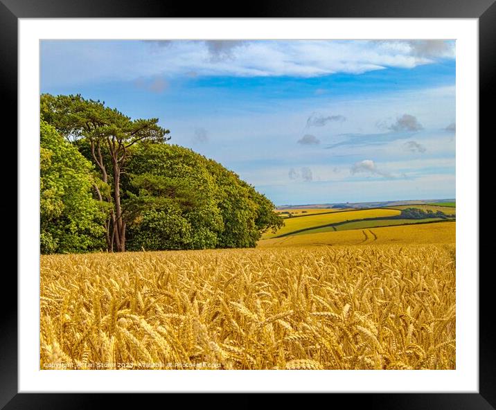 Devon Countryside  Framed Mounted Print by Ian Stone