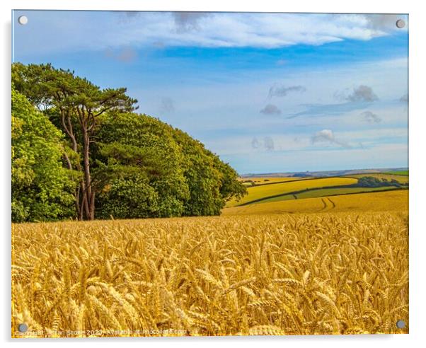 Devon Countryside  Acrylic by Ian Stone